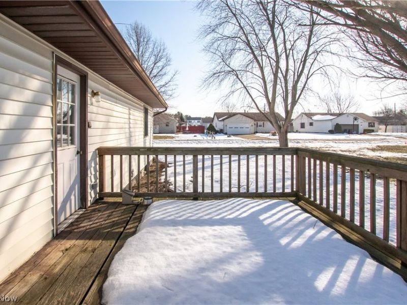 42113 Meadow Lane, Lagrange, OH 44050 Photo 29