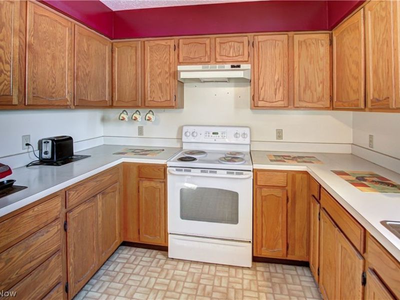 42113 Meadow Lane, Lagrange, OH 44050 Photo 3