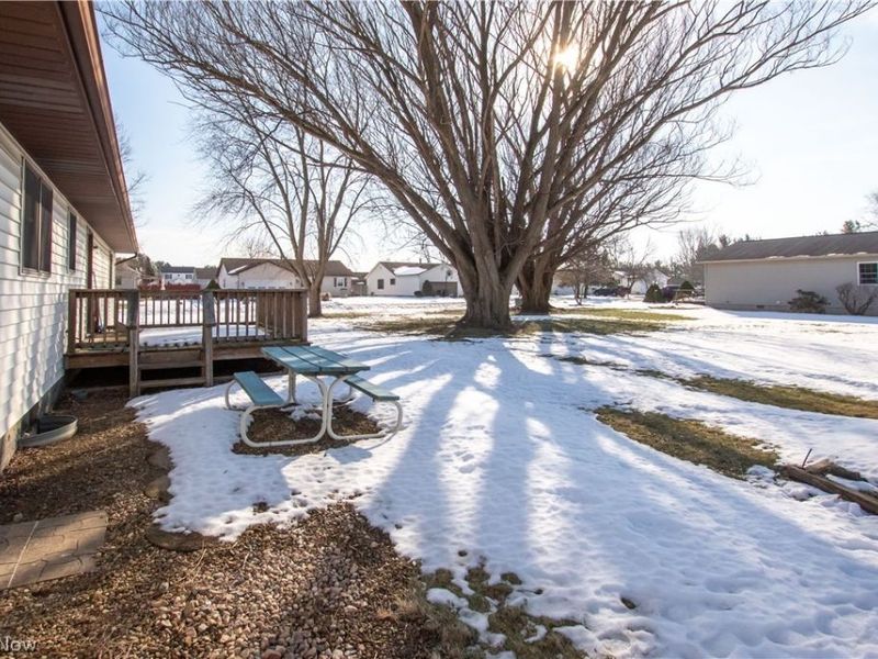 42113 Meadow Lane, Lagrange, OH 44050 Photo 32