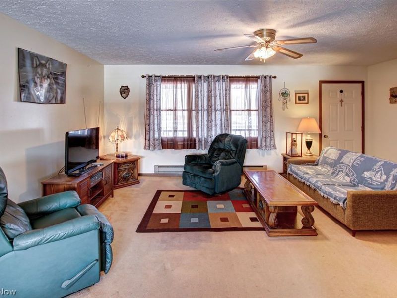 42113 Meadow Lane, Lagrange, OH 44050 Photo 9