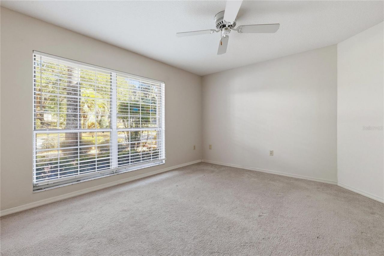 6136 Dora Drive, Mount Dora, FL 32757 Photo