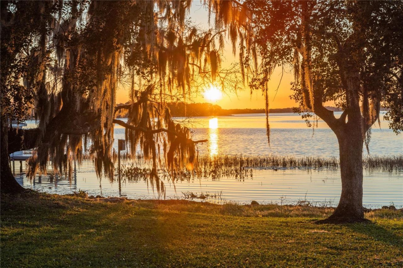 6136 Dora Drive, Mount Dora, FL 32757 Photo