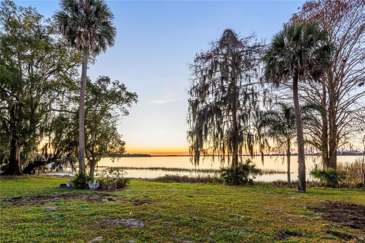 6136 Dora Drive, Mount Dora, FL 32757 Photo