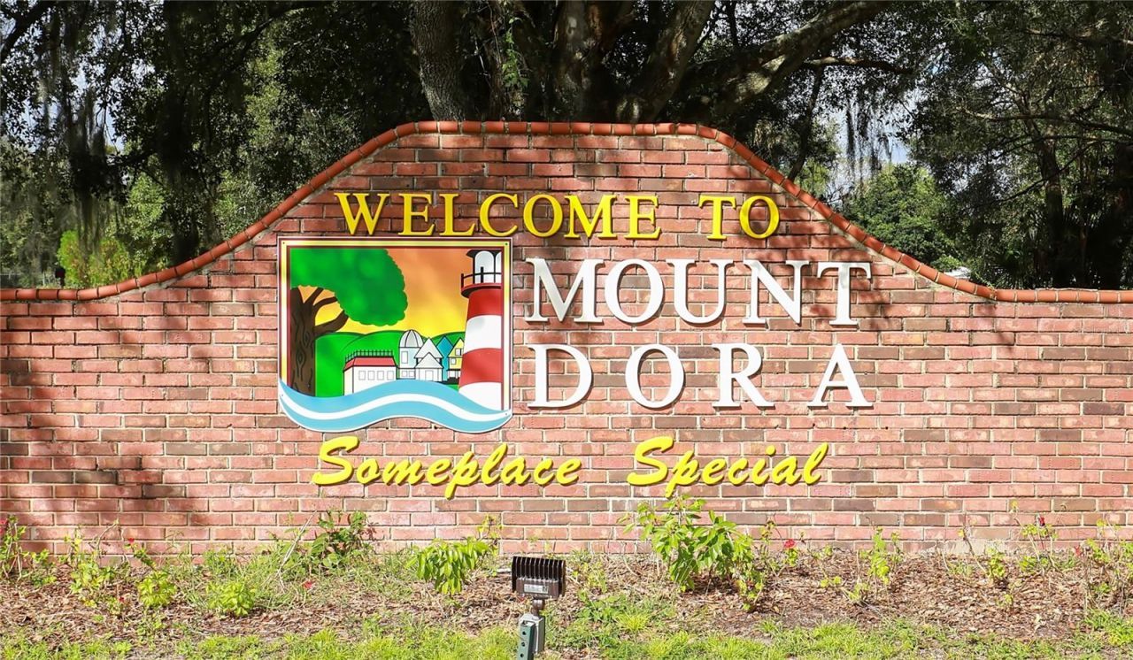 6136 Dora Drive, Mount Dora, FL 32757 Photo