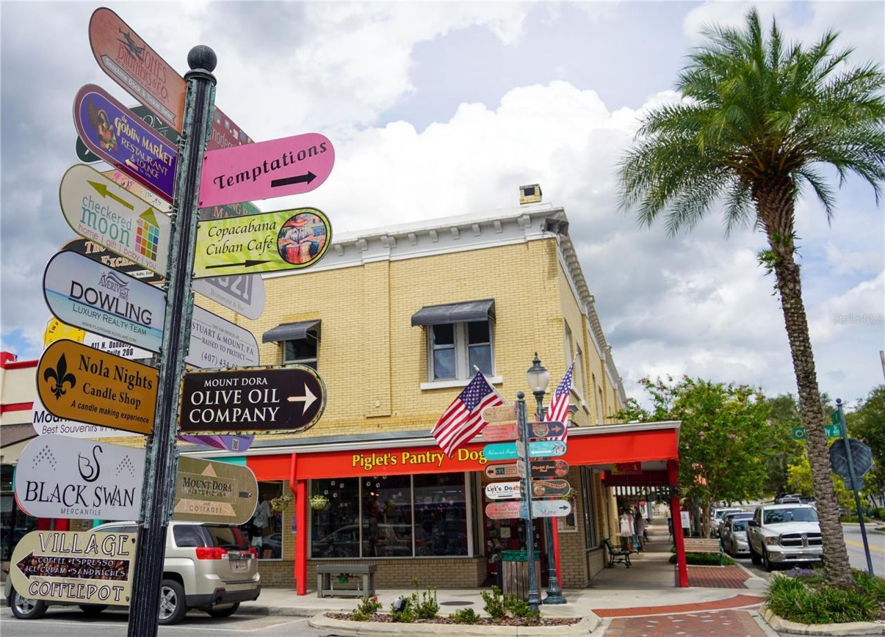 6136 Dora Drive, Mount Dora, FL 32757 Photo