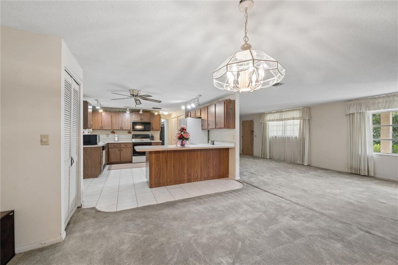 15851 NE 15th Street, Williston, FL 32696 Photo