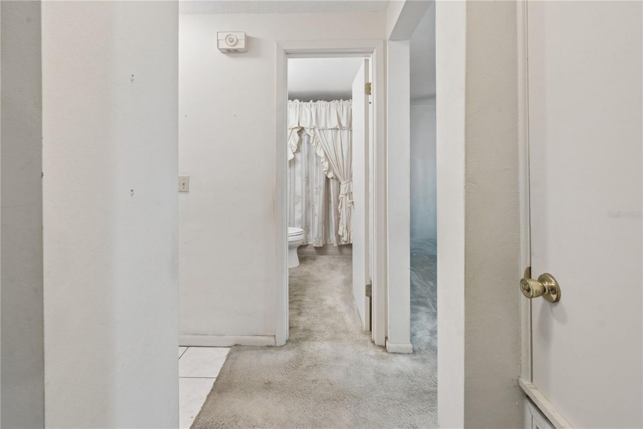 15851 NE 15th Street, Williston, FL 32696 Photo