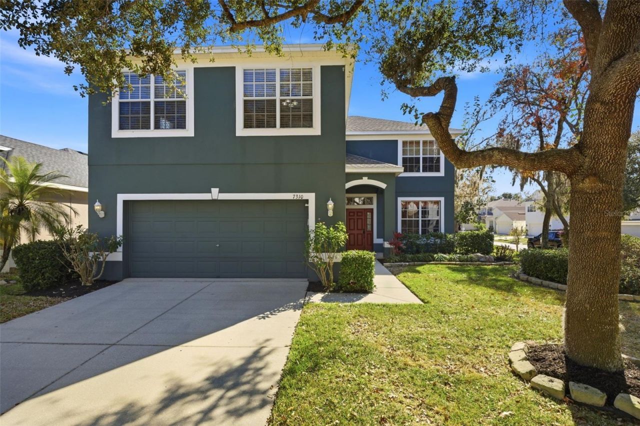 7310 Brightwater Oaks Drive, Tampa, FL 33625 Main Photo