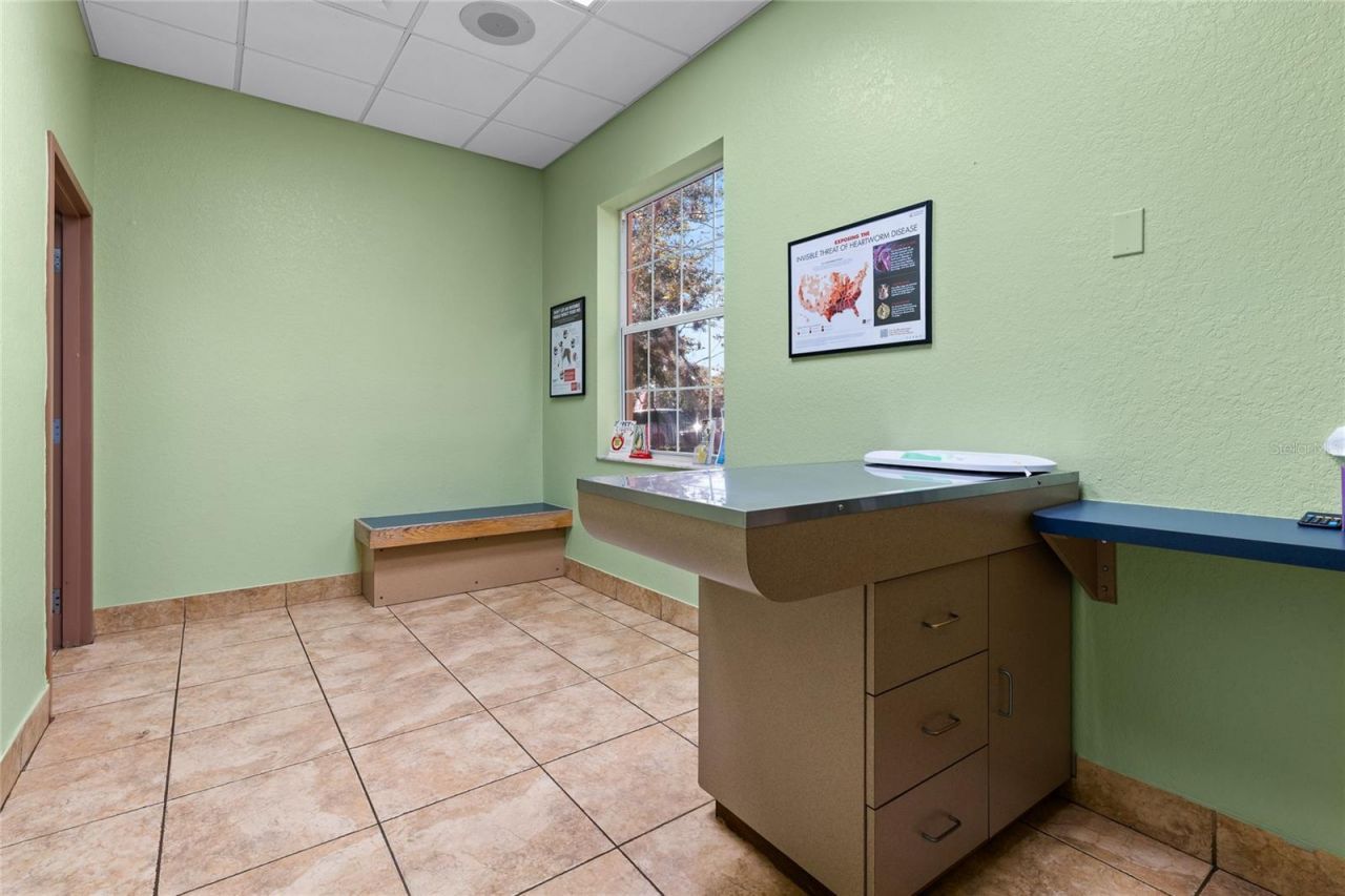 3300 N Highway 19a, Mount Dora, FL 32757 Photo