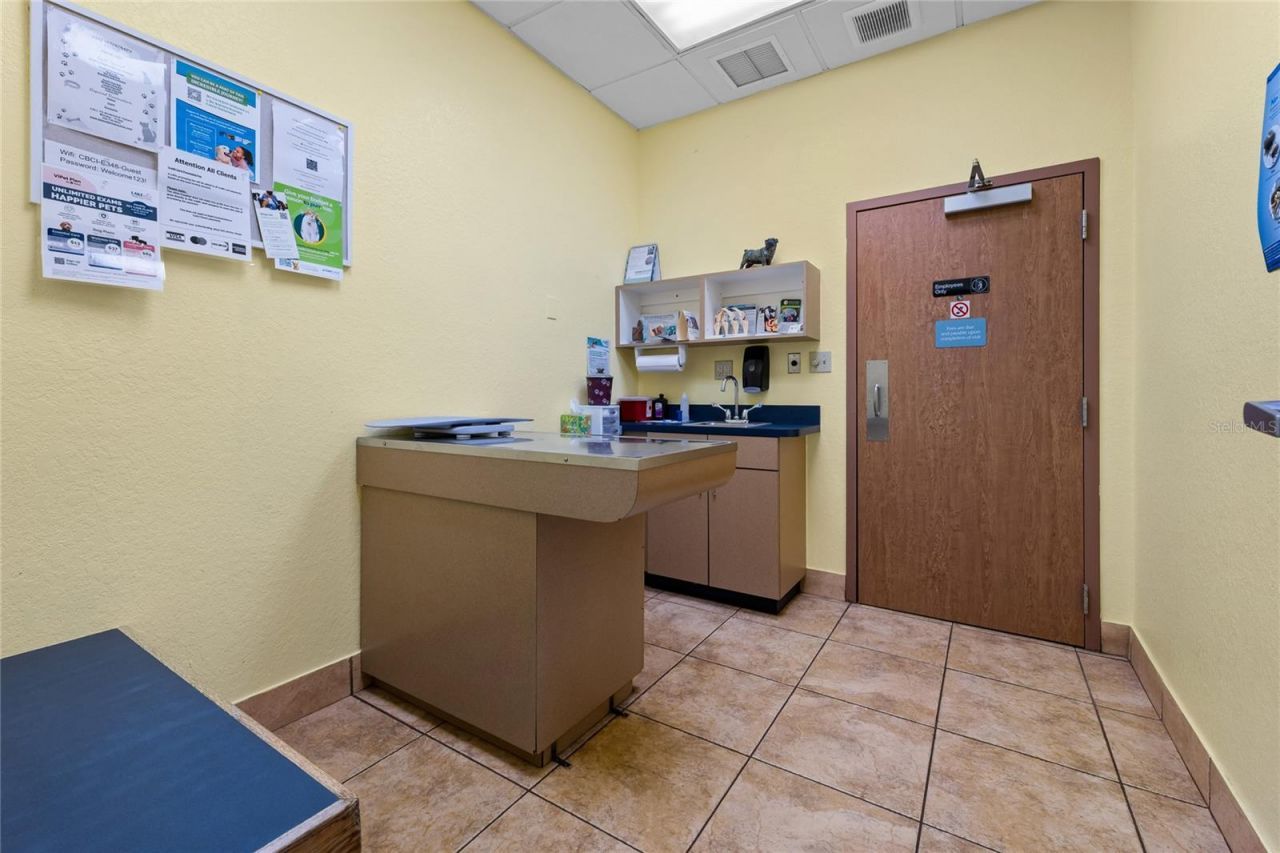 3300 N Highway 19a, Mount Dora, FL 32757 Photo