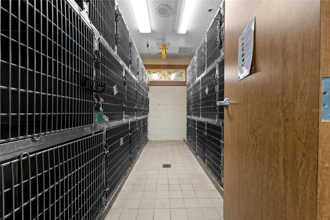 3300 N Highway 19a, Mount Dora, FL 32757 Photo