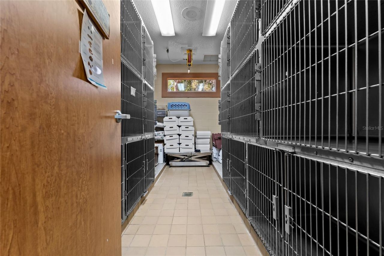 3300 N Highway 19a, Mount Dora, FL 32757 Photo