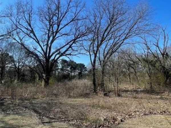 TBD County Road 1223, Daingerfield, TX 75638
