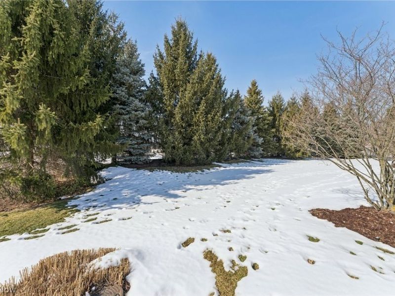 5415 Lake Forest Reserve Lane, Brunswick, OH 44212 Photo 30