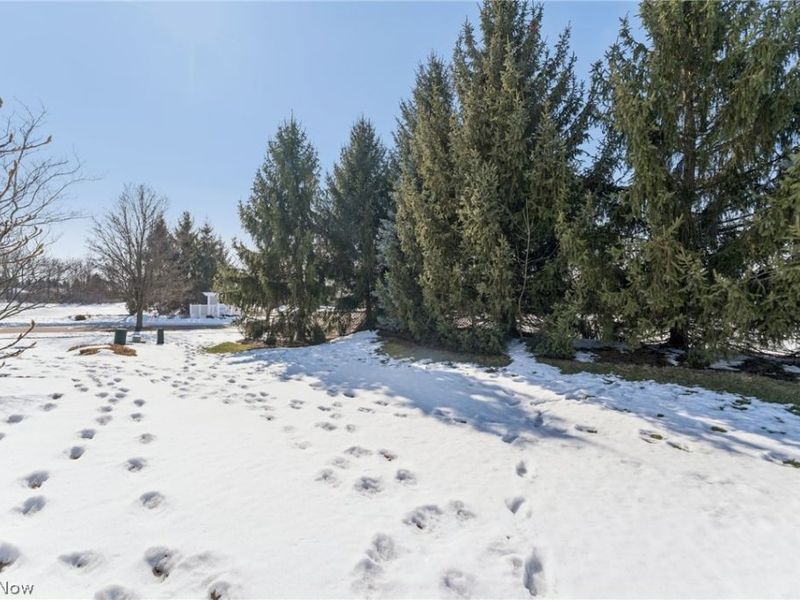 5415 Lake Forest Reserve Lane, Brunswick, OH 44212 Photo 34