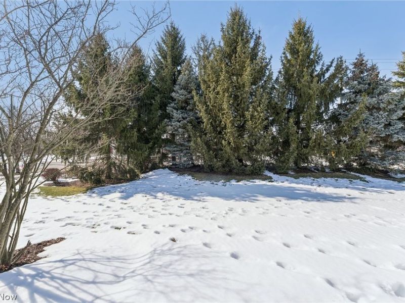 5415 Lake Forest Reserve Lane, Brunswick, OH 44212 Photo 35