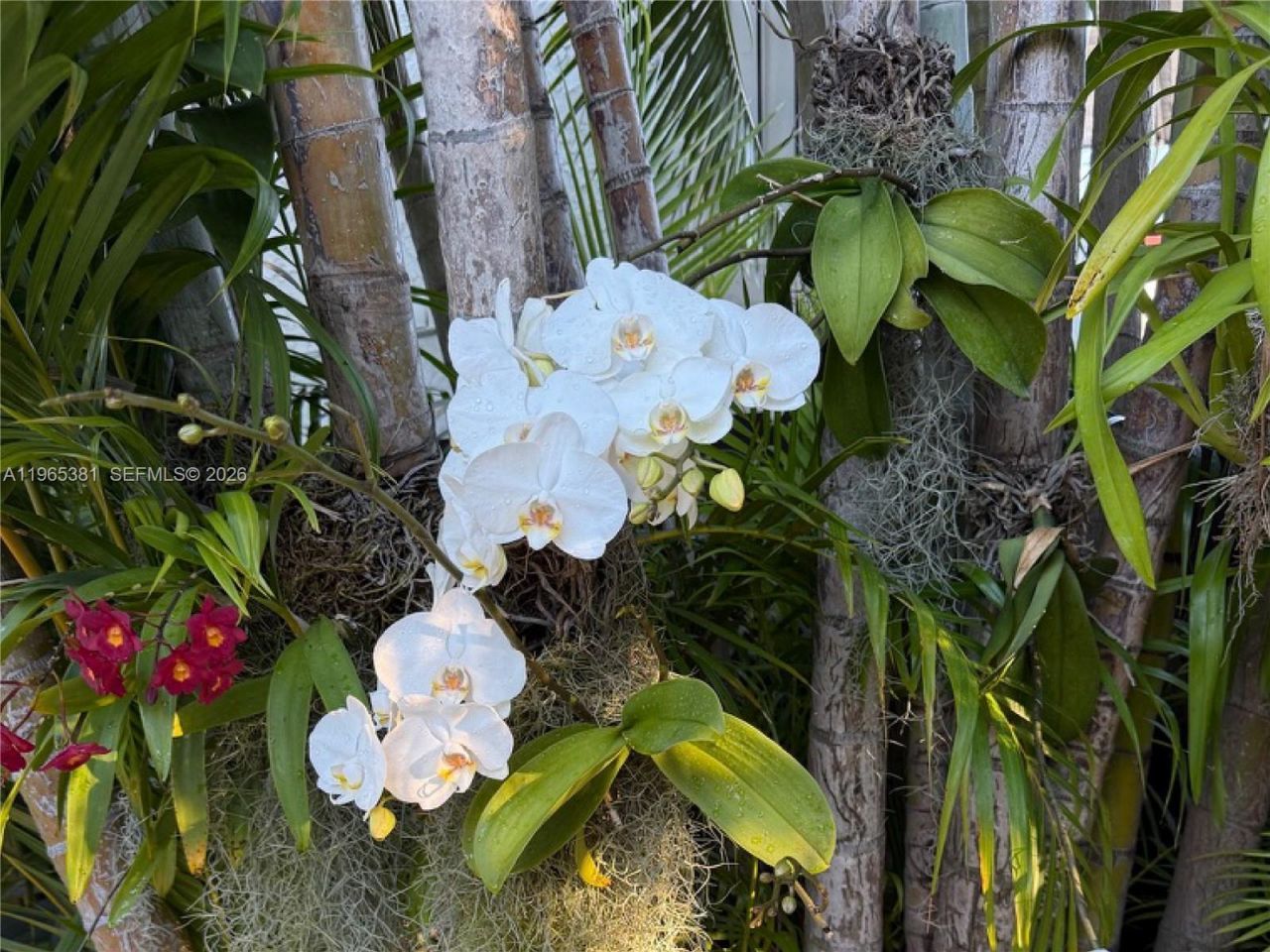 1737 SW 10th St, Miami, FL 33135 Photo