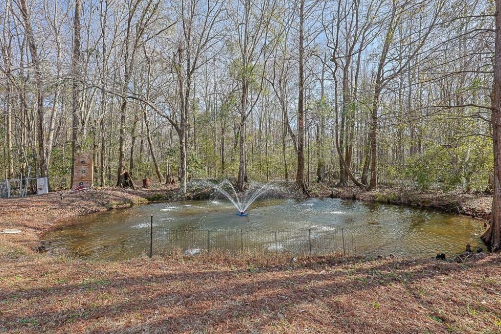 3750 Limerick Rd.  Photo 34