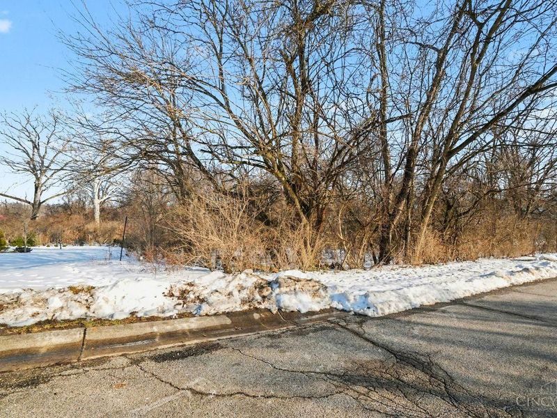 0 E Leslie Avenue, Woodlawn, OH 45215 Photo 7