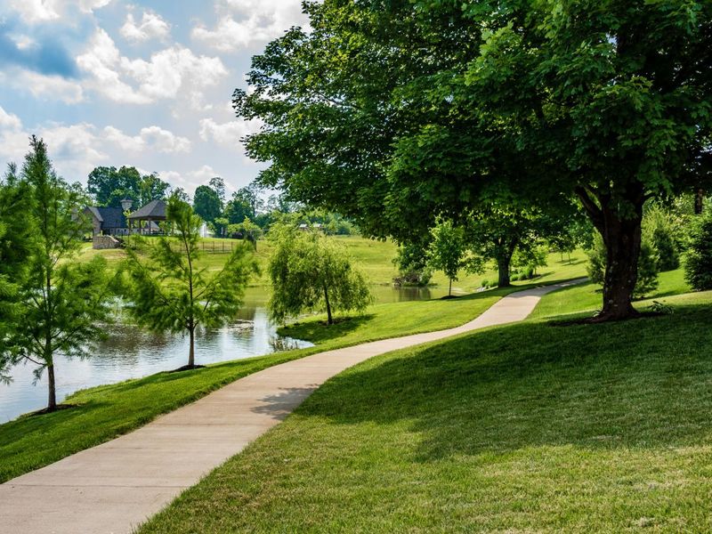 6886 Green Isle Lane, Union, KY 41091 Photo 13