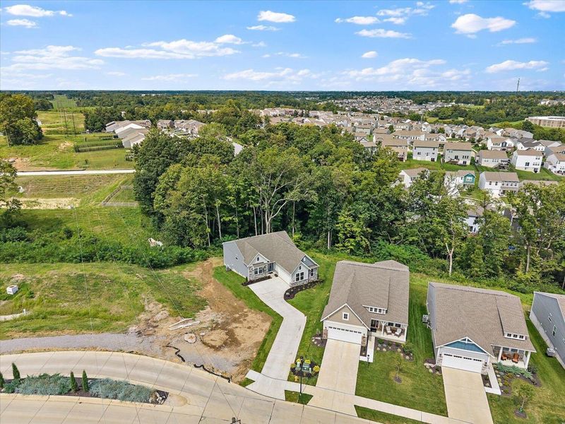 6886 Green Isle Lane, Union, KY 41091 Photo 31