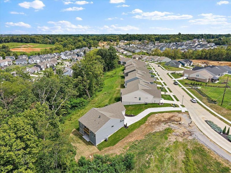 6886 Green Isle Lane, Union, KY 41091 Photo 32