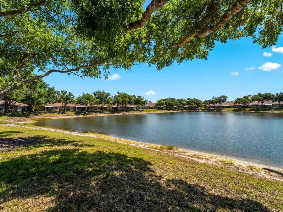 Property Image 83