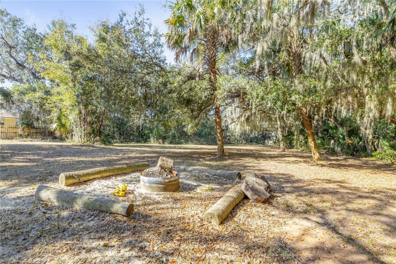 3054 N Dixie Freeway, New Smyrna Beach, FL 32168 Photo