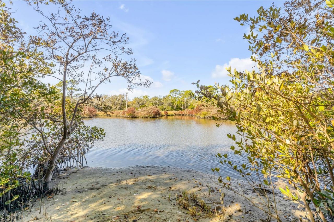 3054 N Dixie Freeway, New Smyrna Beach, FL 32168 Photo