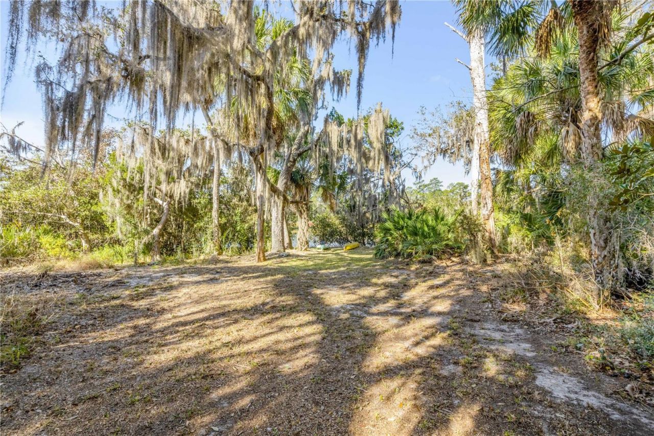 3054 N Dixie Freeway, New Smyrna Beach, FL 32168 Photo