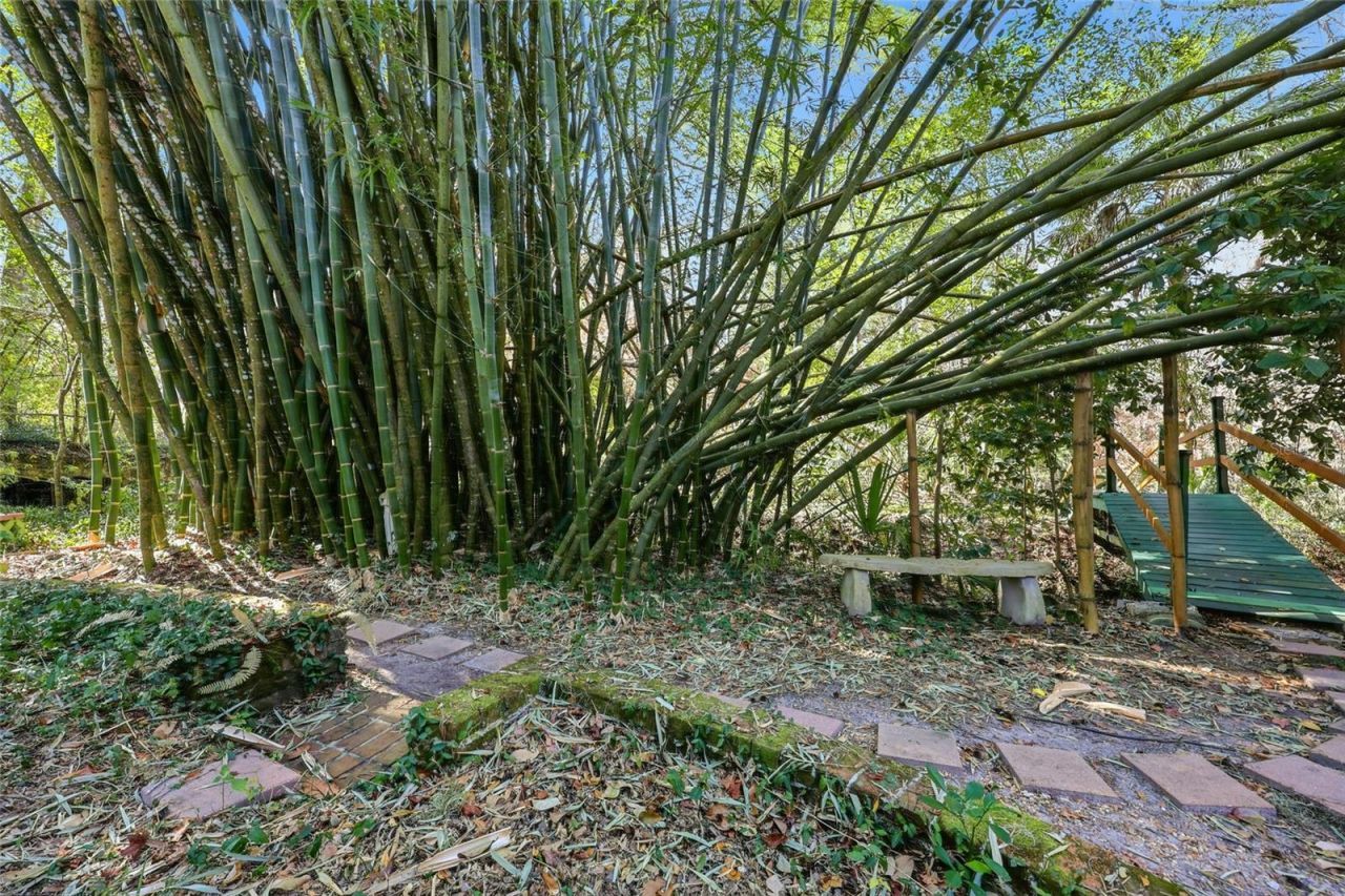 2074 NW 11th Road, Gainesville, FL 32605 Photo