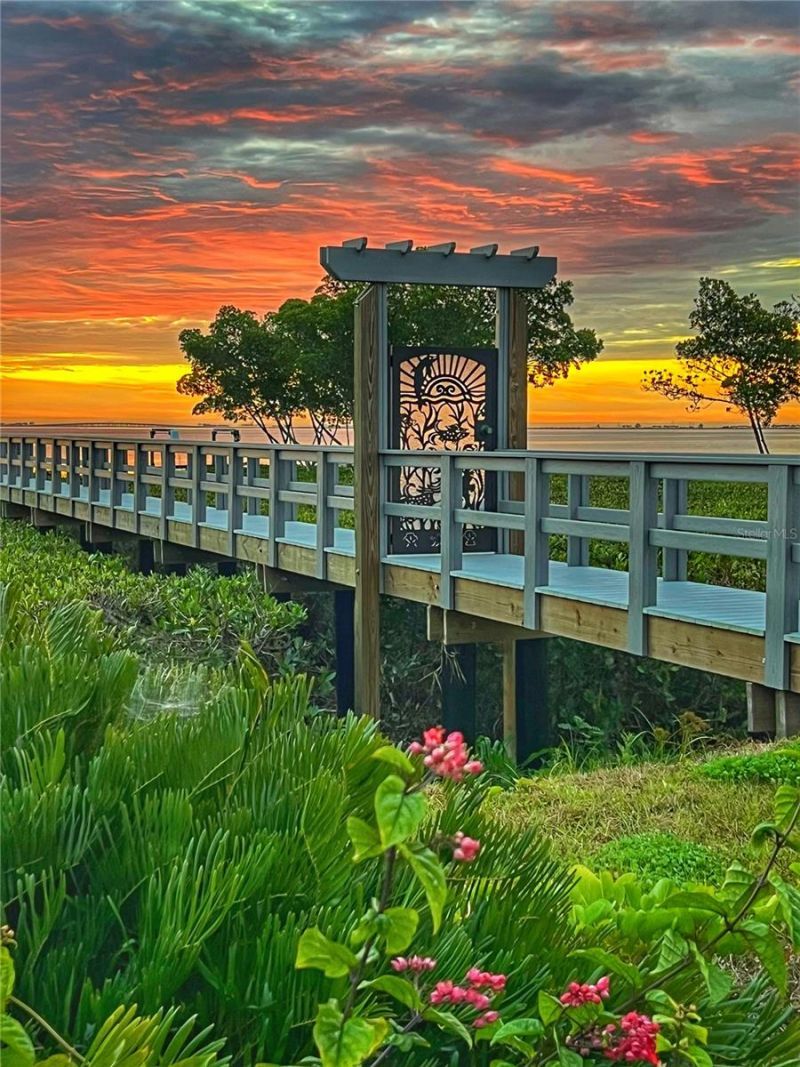 1405 N Bayshore Drive, Safety Harbor, FL 34695 Photo