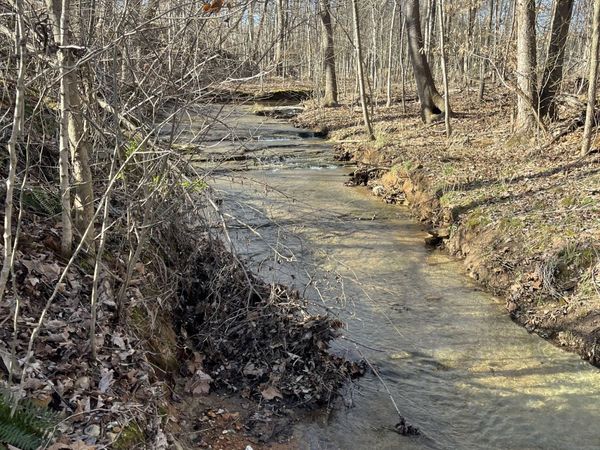 4061 Sawmill Rd, Woodlawn, TN 37191