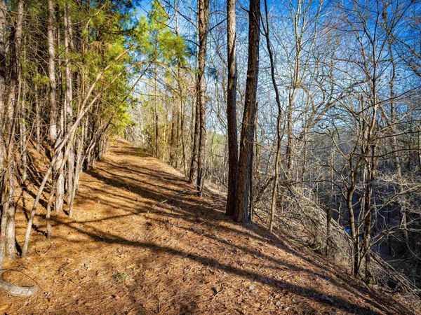 0 Grey Hawk Drive, Paron, AR 72122