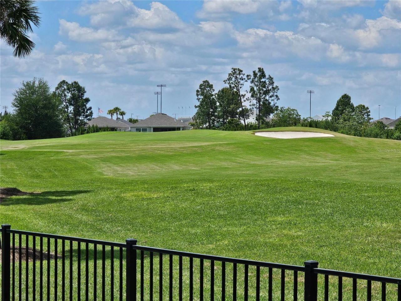 7704 Brian Etheredge Way, The Villages, FL 34762 Photo