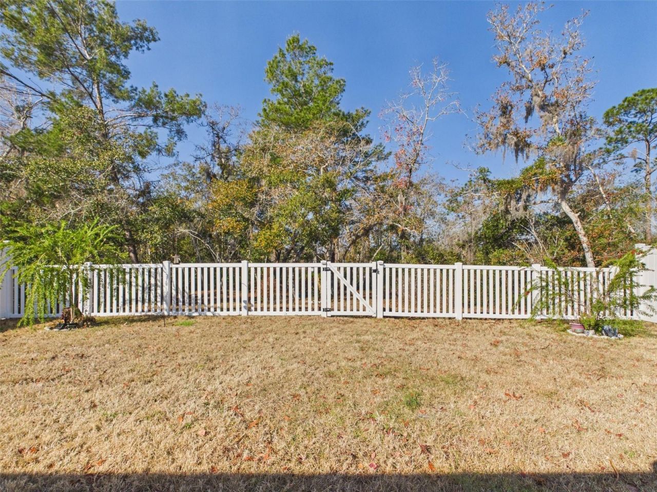 1360 Peach Creek Drive, Osteen, FL 32764 Photo