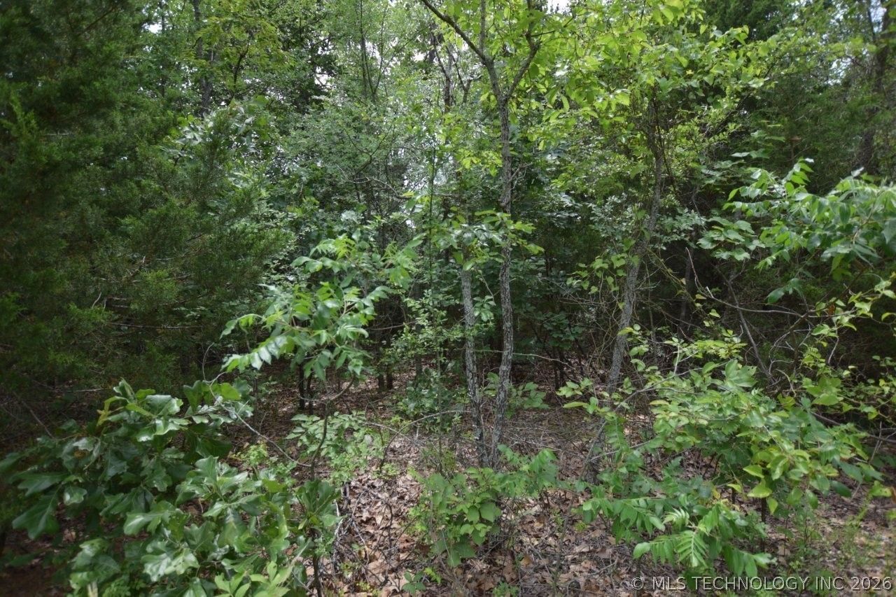 5 E 980 Road, Vian, OK 74962 Main Photo