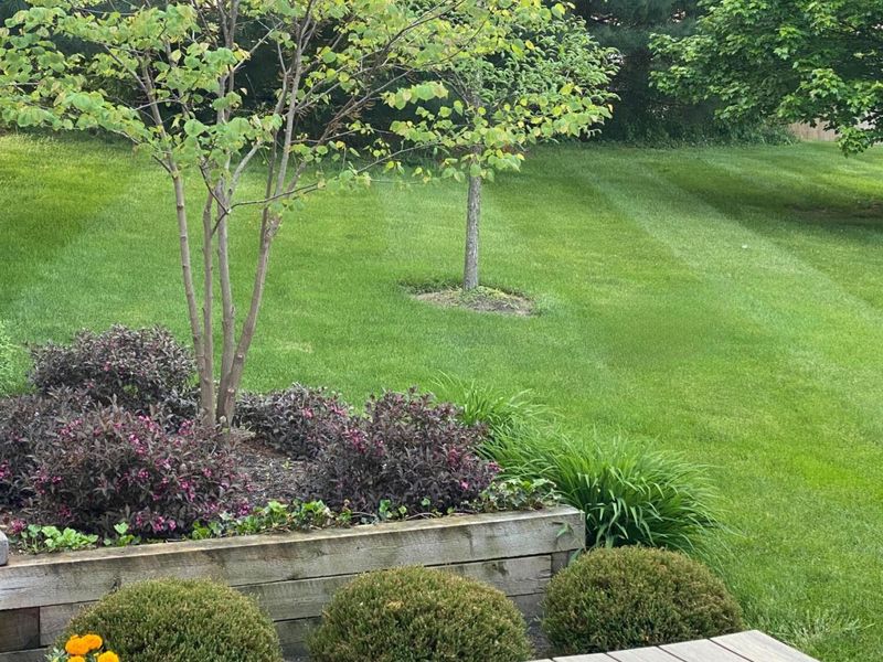 50 Buttercup Court SW, Pataskala, OH 43062 Photo 44