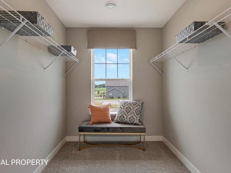 5984 Ebony Oak Drive Drive, Canal Winchester, OH 43110 Photo 14