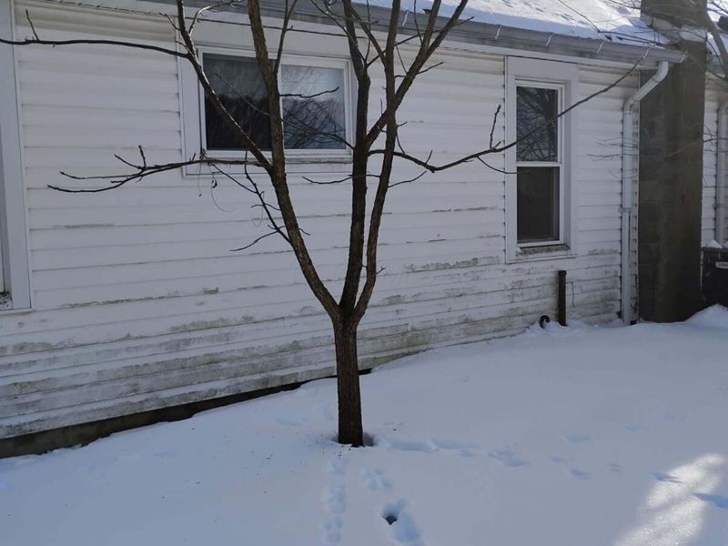 7215 County Road 58, Toronto, OH 43964 Photo 6