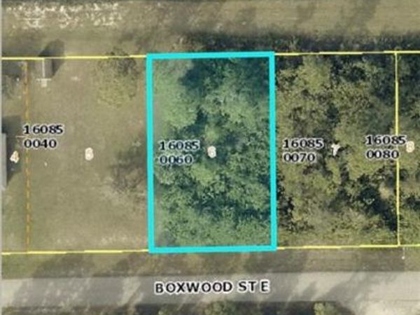 1219 Boxwood ST S, LEHIGH ACRES, FL 33974
