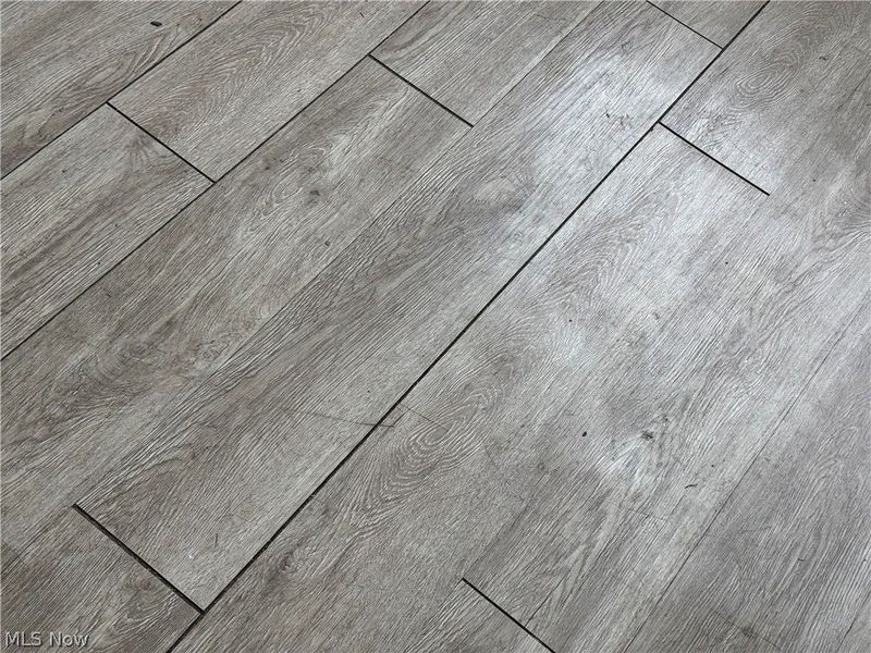 26931 Shoreview Avenue, Euclid, OH 44132 Photo 11