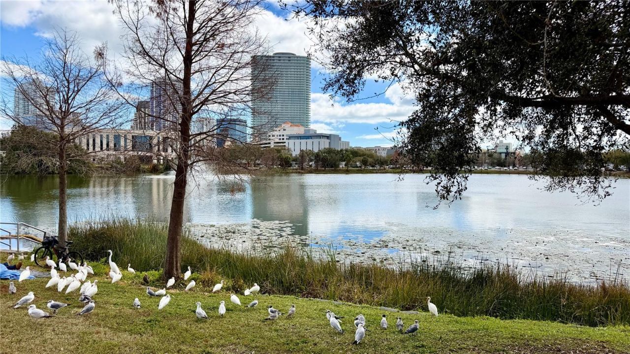 701 Mirror Lake Drive N, Unit 121, Saint Petersburg, FL 33701 Photo