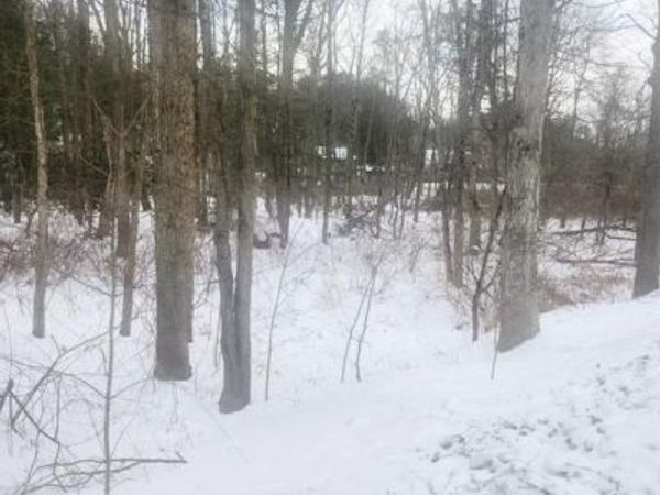 BRUSH CREEK ROAD, BREEZEWOOD, PA 15533