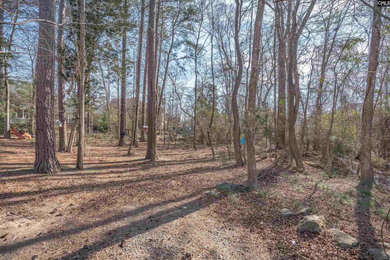 110 Night Harbor Drive  Photo 51