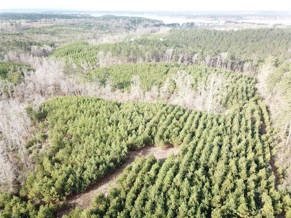 00 Off McManus Road , Zwolle, LA 71486