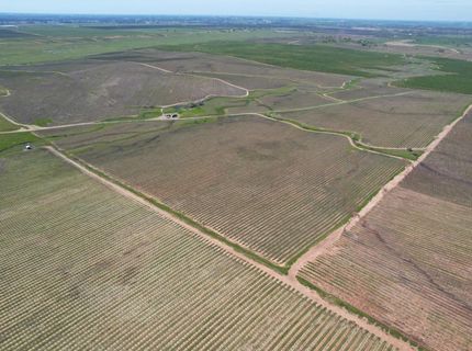 17559 E Liberty Rd, Clements, CA 95227 Photo