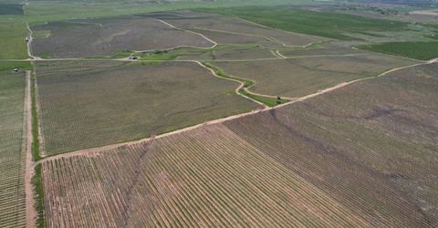 17559 E Liberty Rd, Clements, CA 95227 Photo