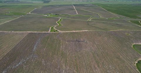 17559 E Liberty Rd, Clements, CA 95227 Photo
