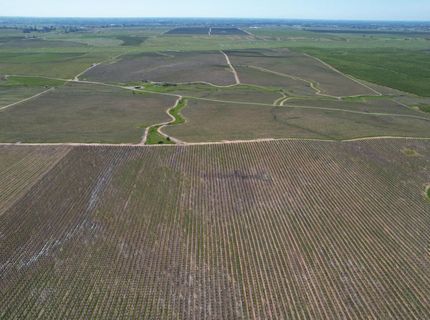 17559 E Liberty Rd, Clements, CA 95227 Photo